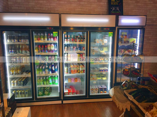 A247上海市長寧區進口精品店展示冰柜