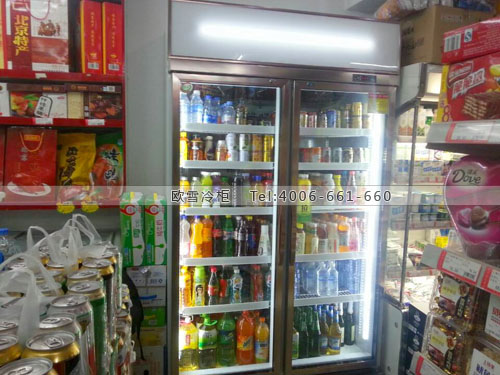 B598北京市東城區(qū)華美天潤超市展示冰柜