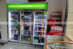 江蘇哪里有賣飲料柜？歐雪便利店冷藏展示柜選購(gòu)