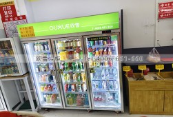 冷藏柜-廣西南寧三門風冷一體機飲料展示柜選購